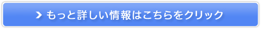 CJ̔閧}bNr[h{@\Hi̔TCg